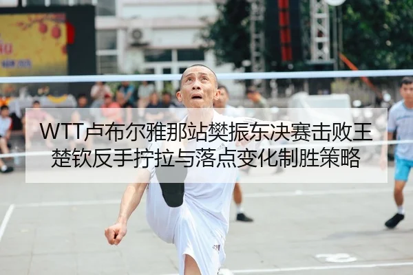 WTT卢布尔雅那站樊振东决赛击败王楚钦反手拧拉与落点变化制胜策略